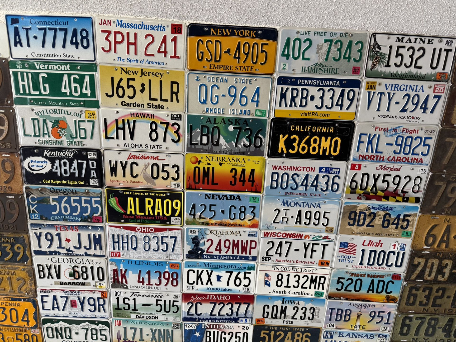 50 License Plates 