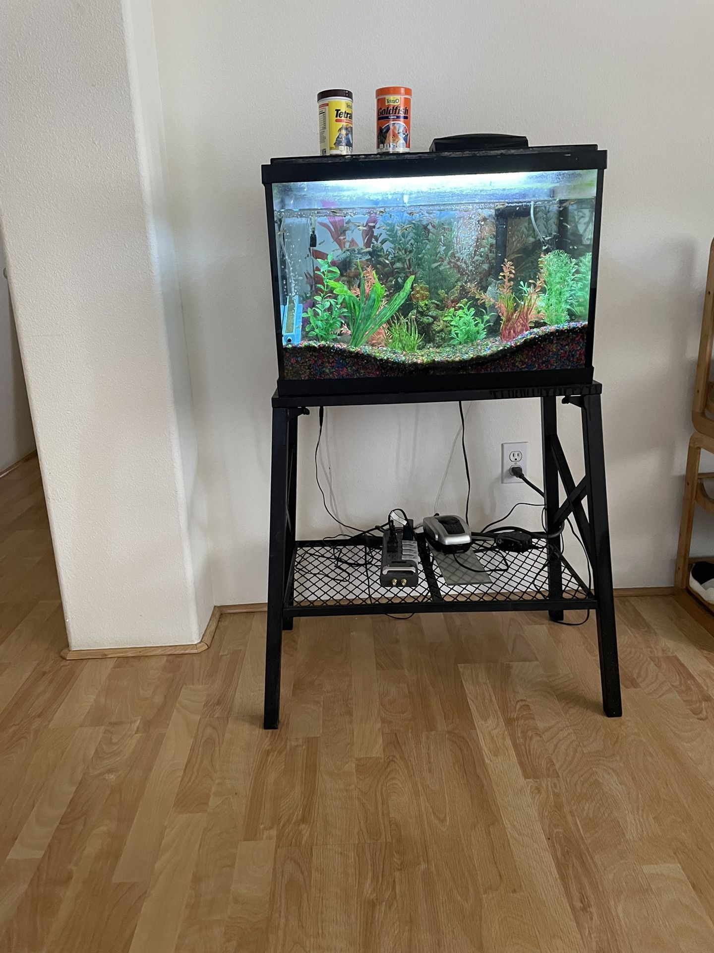 fishtank