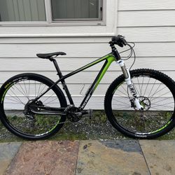Raleigh Carbon Fiber Mountain Bike 29er 