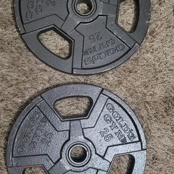 Golds Gym 25 LB Weight Plates (With Curl Bar)