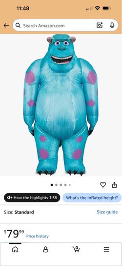 Boo and sully Monsters Inc Halloween Costume