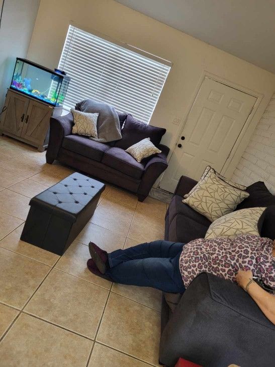 Gray Couches With Queen Size Pull Out Bed
