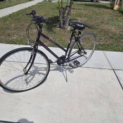 Giant bike