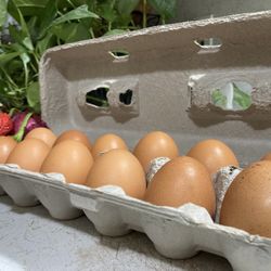 Cage Free Fresh Local Eggs-dozen 