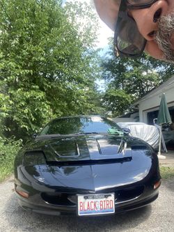 97 Blkbird