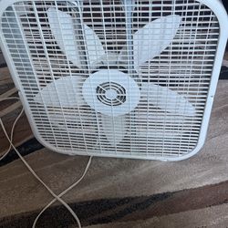 Fan
