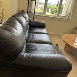 Black Couch