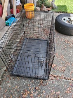 Large Dog Cage