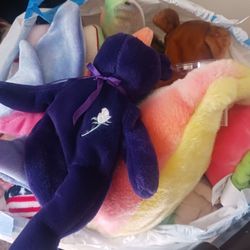A full bag of Ty Beanies Bear