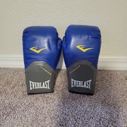 Everlast Boxung Gloves