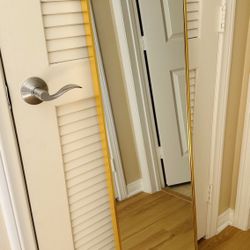 Full Length Mirror (gold)