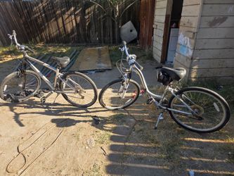 bikes