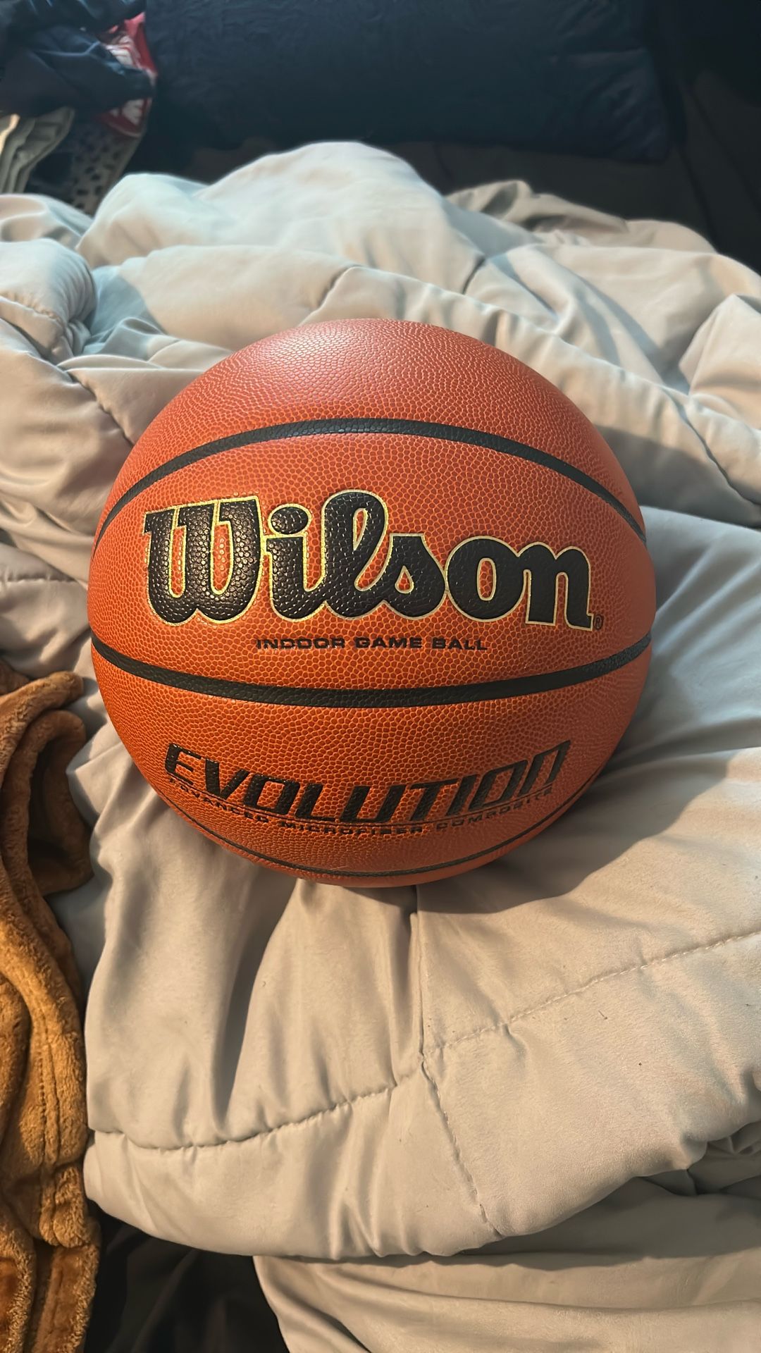 Wilson Evolution Indoor Game Ball Size 7