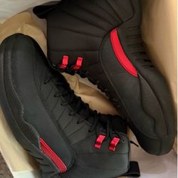 Air Jordan retro 12s