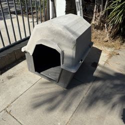 Dog House 