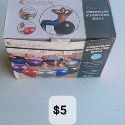 Exercise Ball Pregnant Fitness