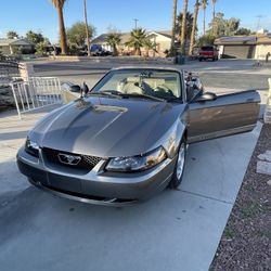 2002 Ford Mustang