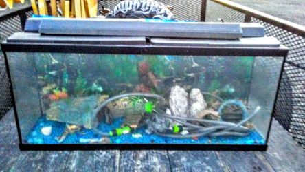 FISH TANK WITH DECORATIONS INCLUDED