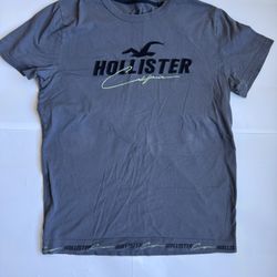 Mens Classic Hollister Gray  Casual Tee Short Sleeve Medium