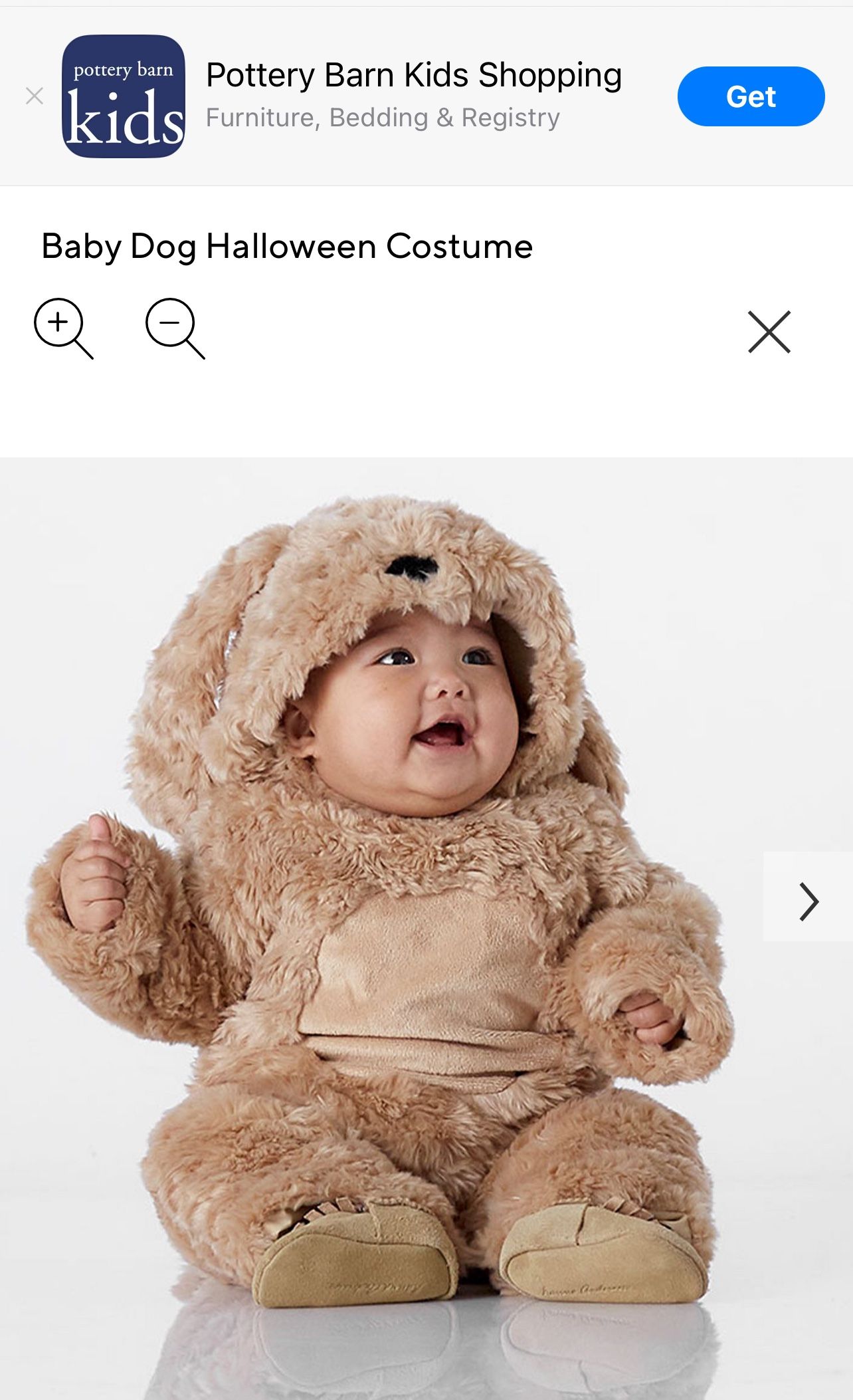 Pottery Barn Baby Dog Costume