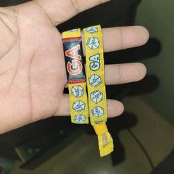 2 Wristbands For 3 Days General Admission