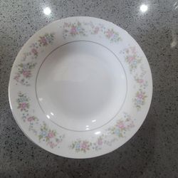 17 Piece Dish Set