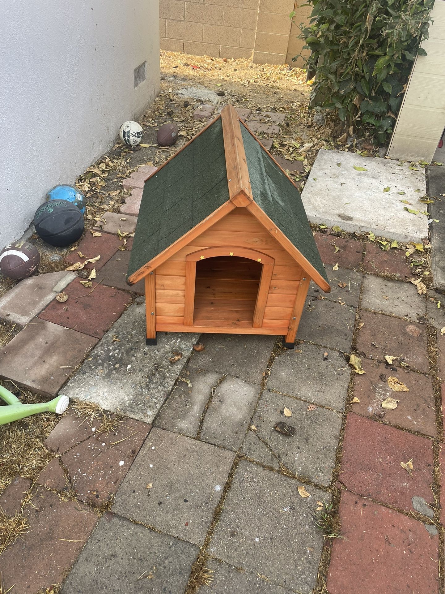 Dog House