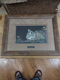 Scratch Board Art By Deborah Liszt Just Curious Hand Colored Limited Edition 39/40