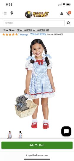 Dorthy Costume 