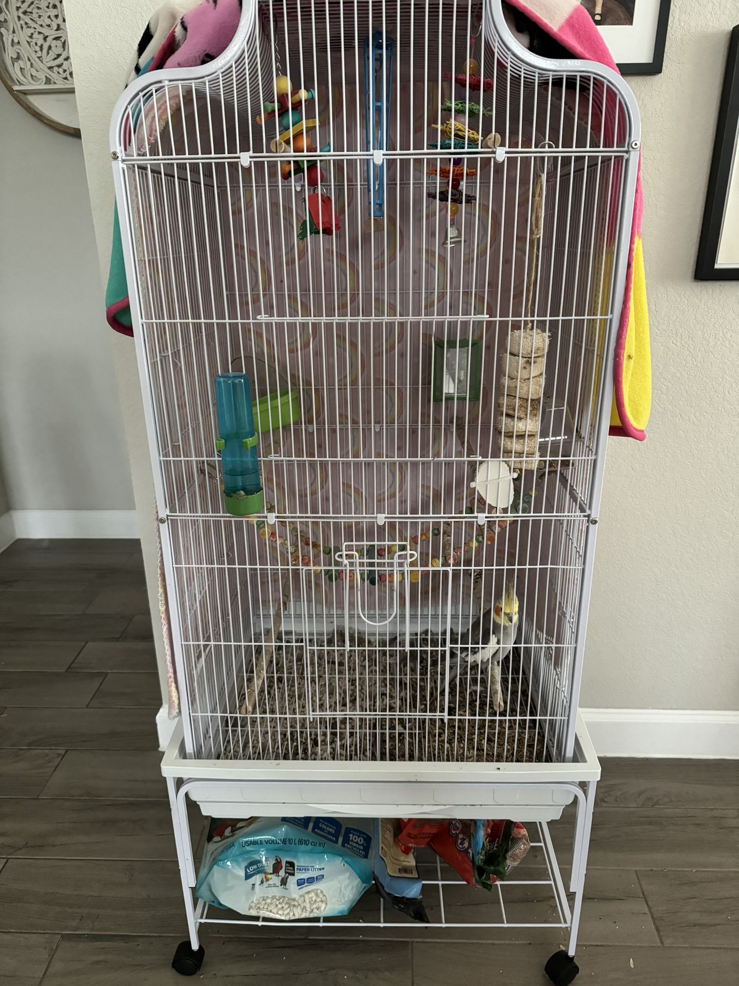 Bird Cage And Everything In It 