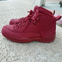 Jordan 12 Size 10