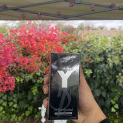 YSL