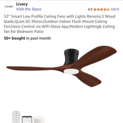 Brand New Smart Fan