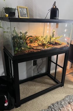 Fish Tank/ Aquarium Tank