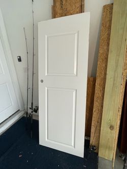 Door  80x30