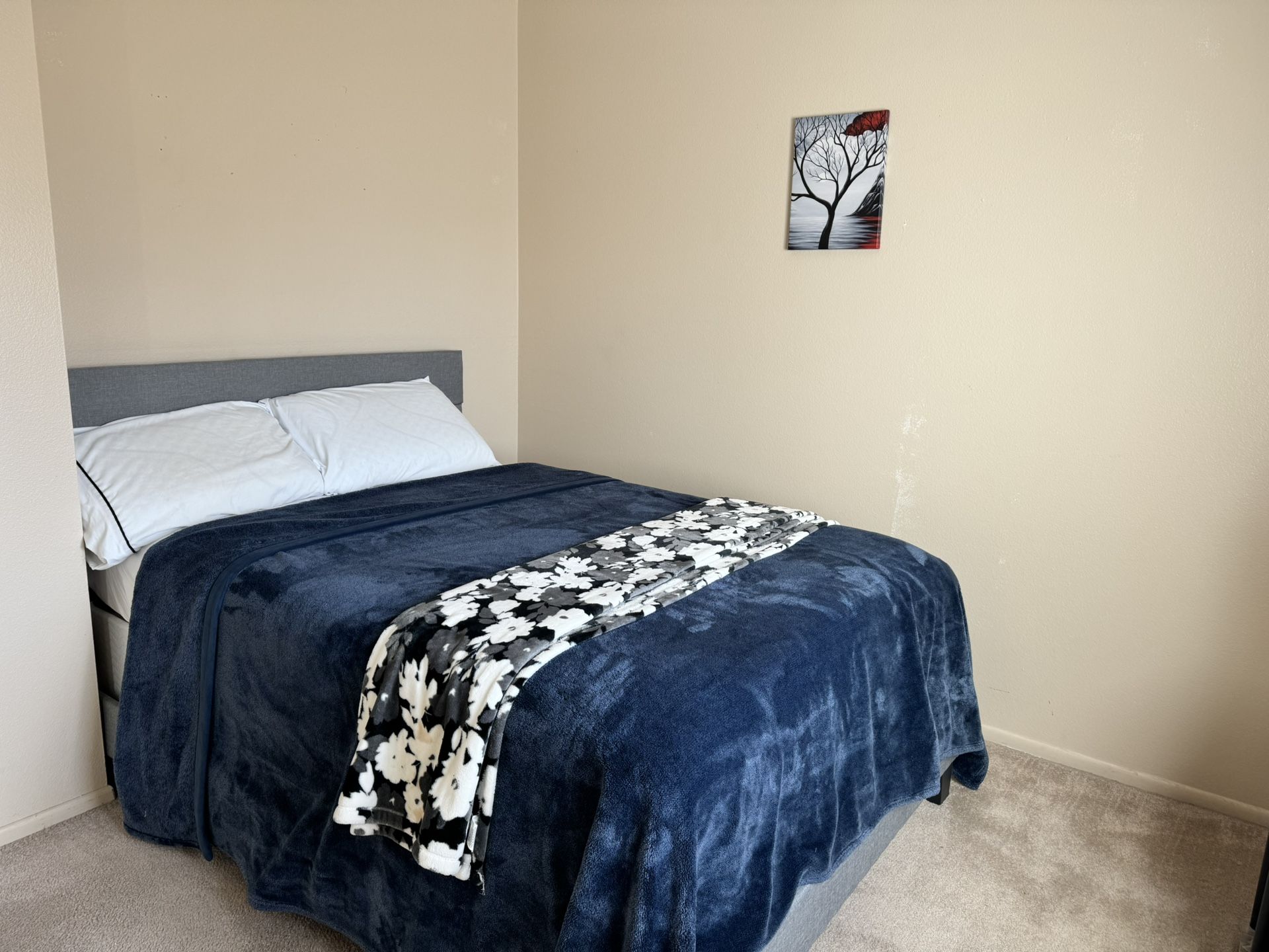 Bed, Bed Frame, Mattress, Springbox