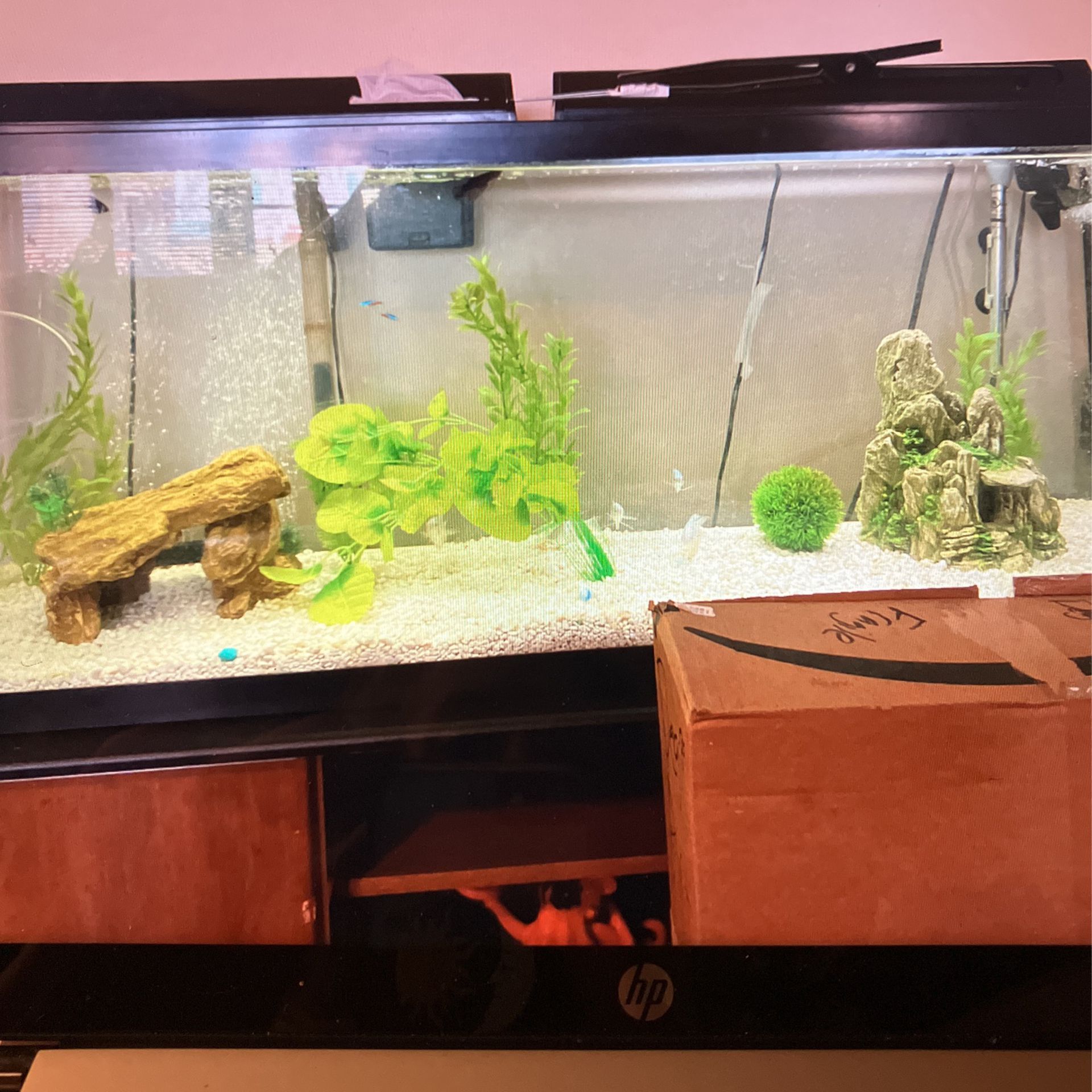 75 Gallon Fish Tank and Stand