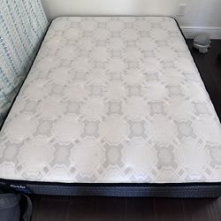 Mattress Full Size No Box Spring