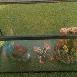 Pecera De 10 Galones 