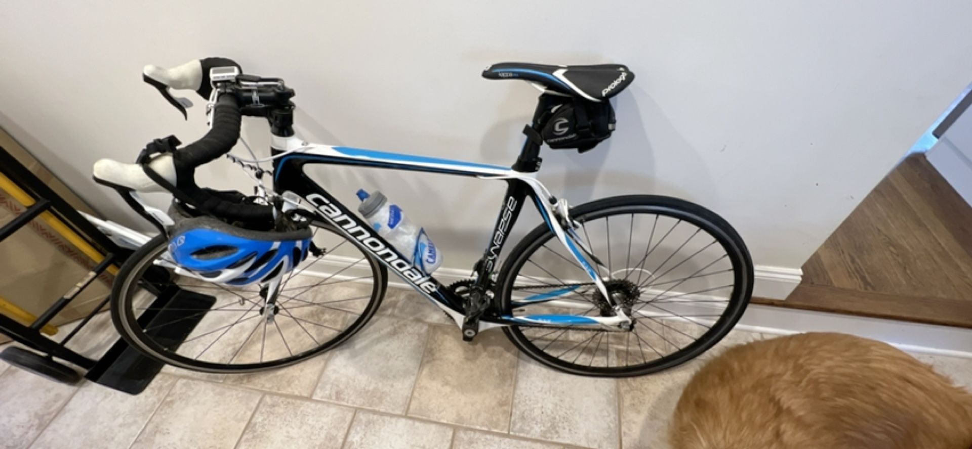 Men’s Cannondale Synapse Carbon 6 - 2012