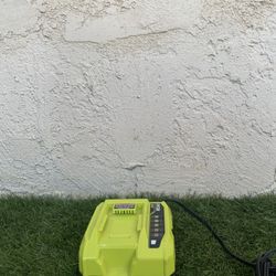 Ryobi 40v Charger 