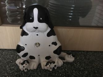 Very cute Dalmatian dog