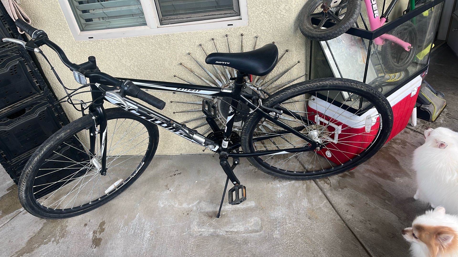 The Schwinn Pathway Multi-Use Bike— The Bike Is In Great Condition Every Thing Working And With Air Popping For Tires
