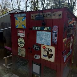 Chicken Coop With Automatic Door 