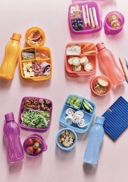 Tupperware Lunch Kits
