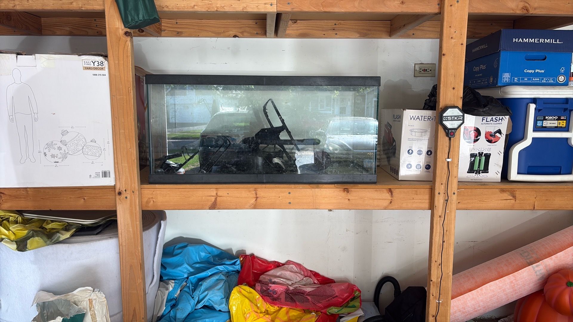50 gallon tank