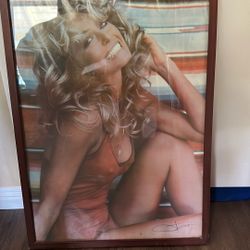 Farrah Faucet Poster 1973