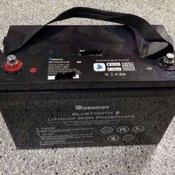 Renogy 12V 100Ah Lithium Iron Phosphate Battery w/ Bluetooth LiFePO4