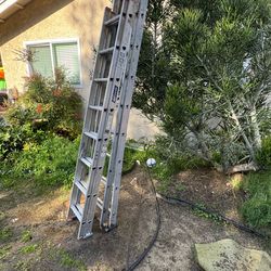 Ladder