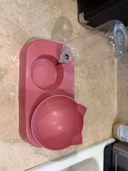Pink Pet Food & Automatic Water Dispenser